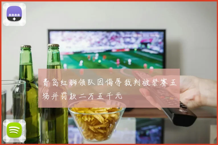 青岛红狮领队因侮辱裁判被禁赛五场并罚款二万五千元